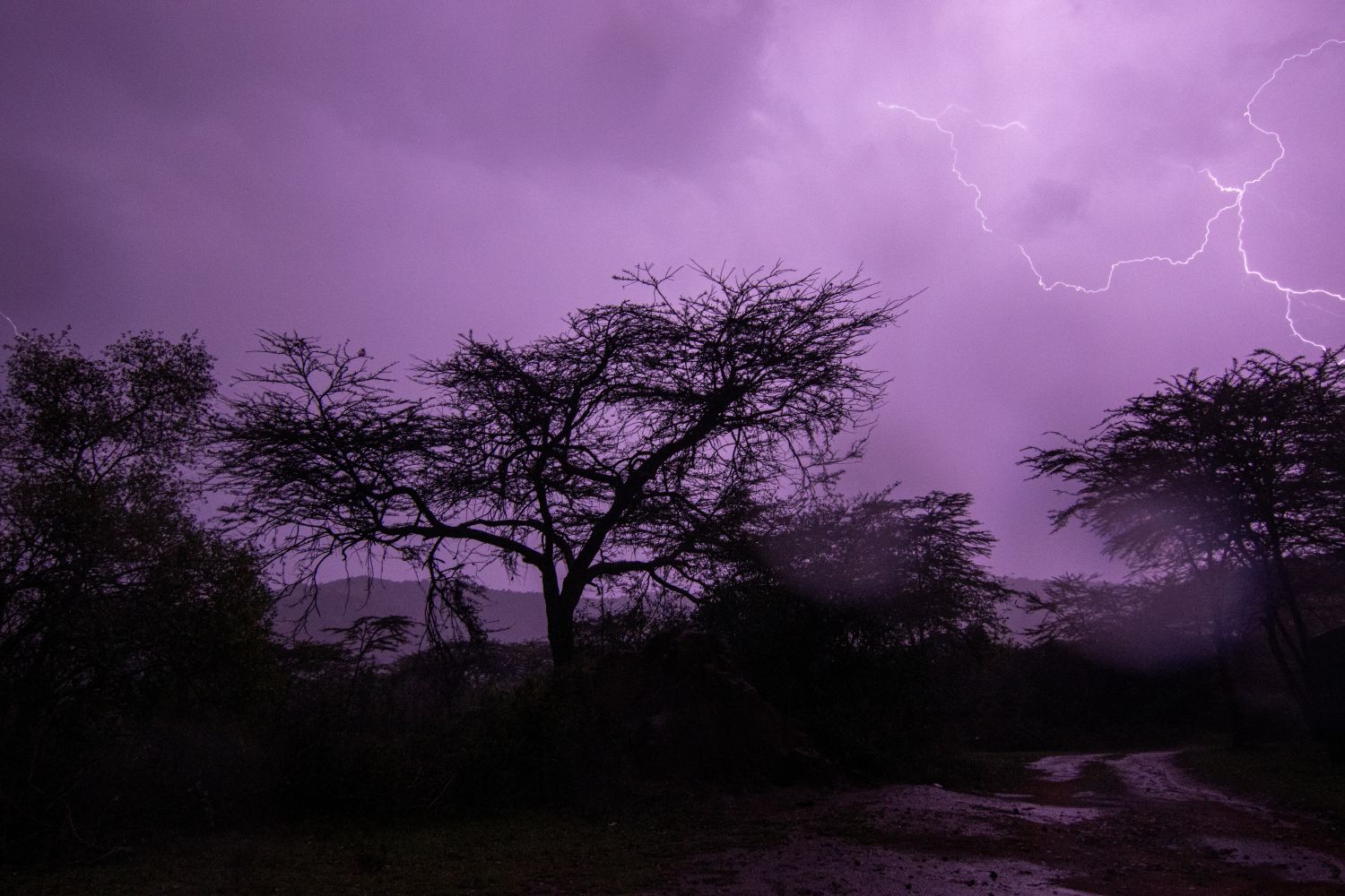 Mara Siana Conservancy – Mein erster Tag