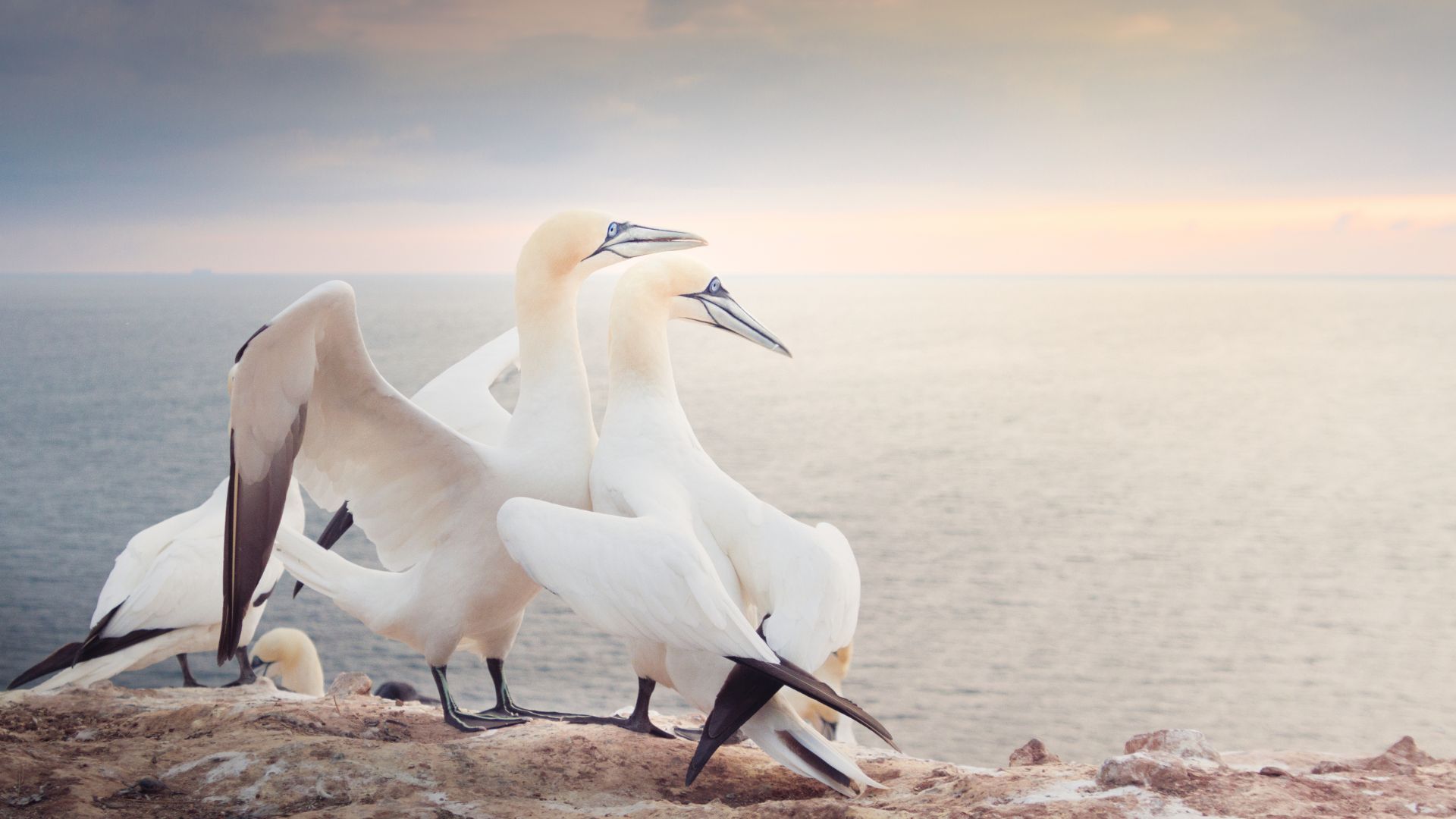 Helgoland Bild 3