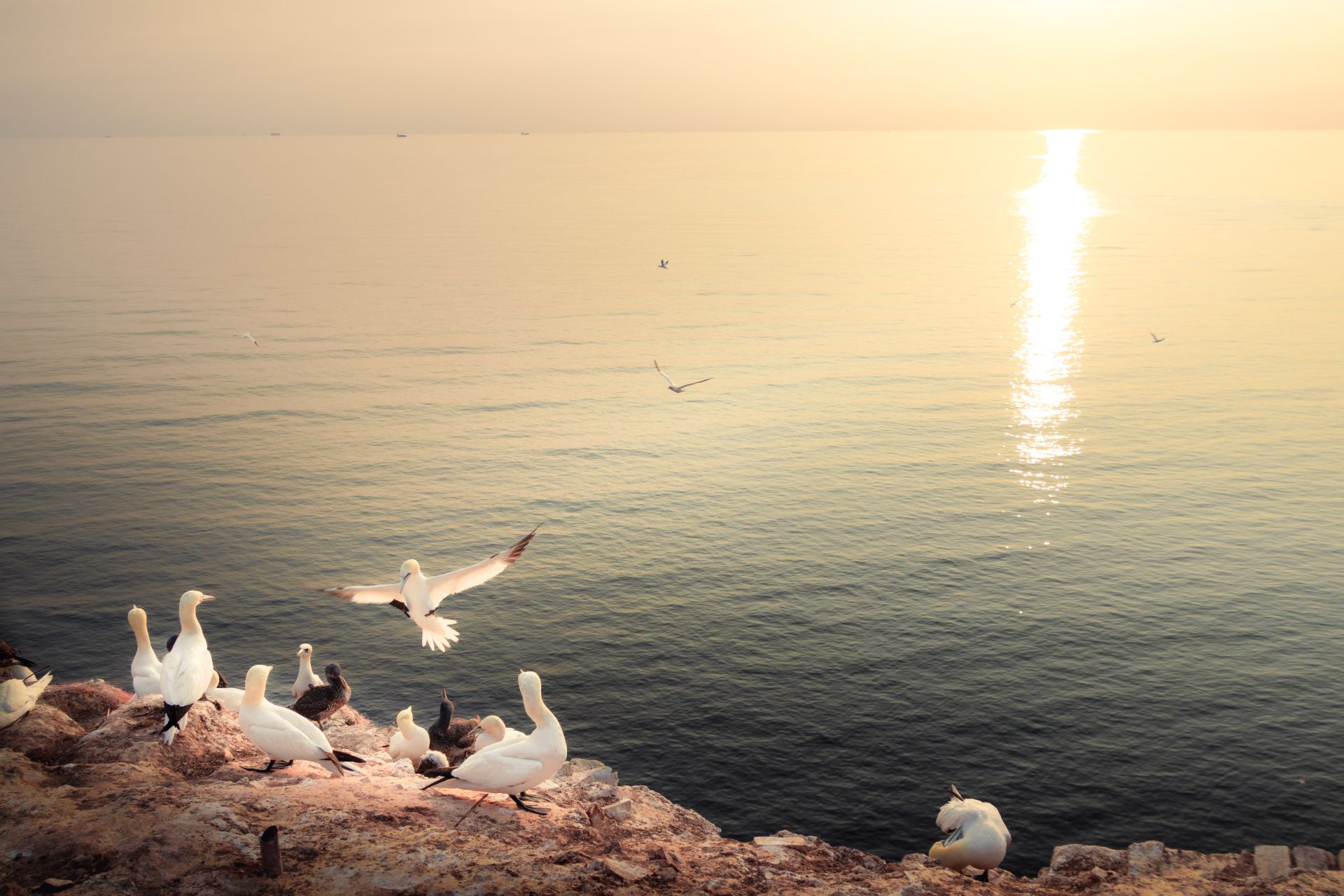 Helgoland Bild 2