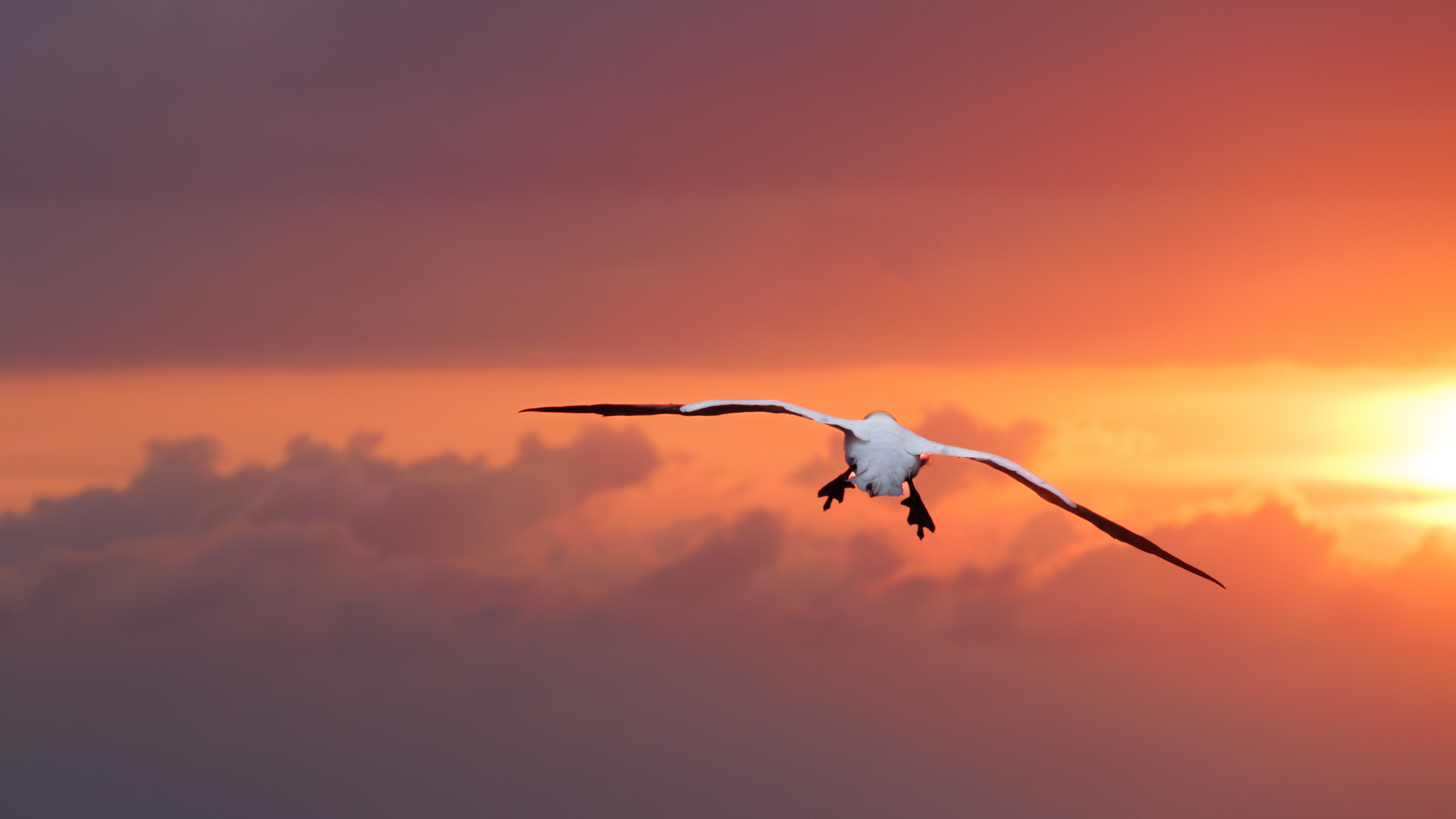 Helgoland Bild 1